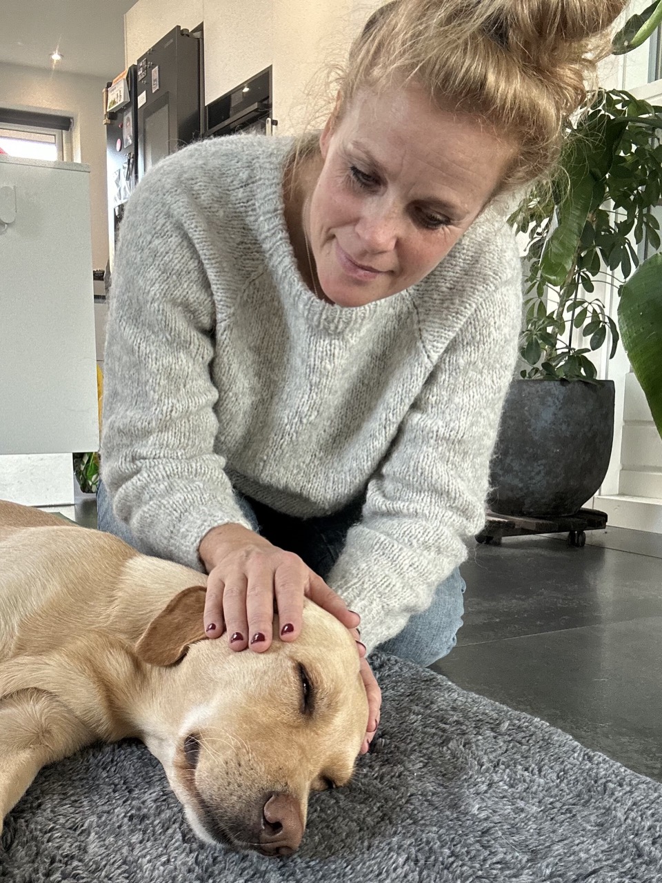 Hunden Karla får KST-behandling af Dina