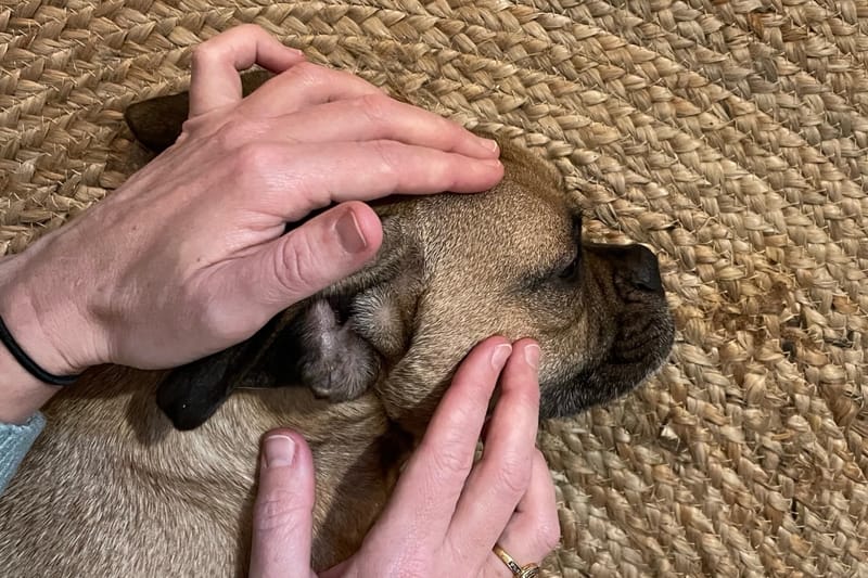 Arlu - Video thumbnail